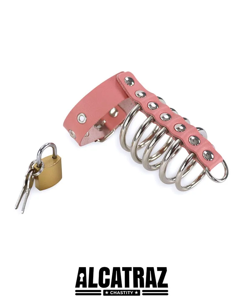 0574DL      Light Pink 5 Gates Of Hell with Locking Buckling Cock Ring