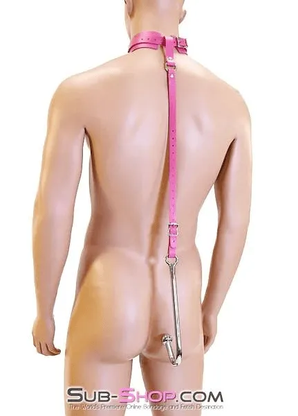 0767A-SIS      Femme Sissy Slut Trainer Adjustable Anal Hook Trainer and Collar Set. Slim Tip
