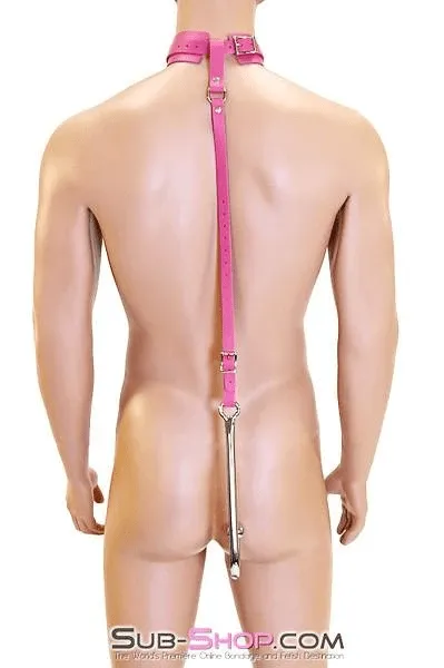 0767A-SIS      Femme Sissy Slut Trainer Adjustable Anal Hook Trainer and Collar Set. Slim Tip