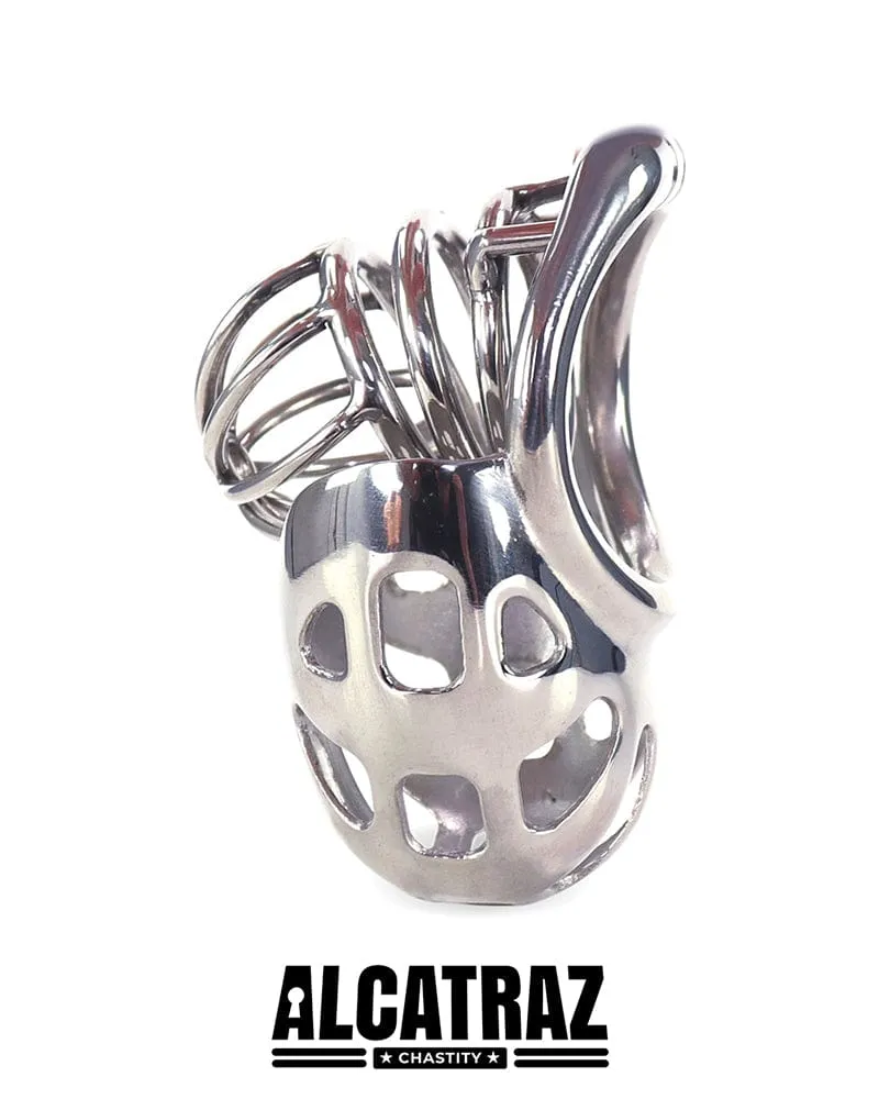 0995AR      Balls and All Full Coverage Locking Steel Chastity Device. 2 Cock Ring