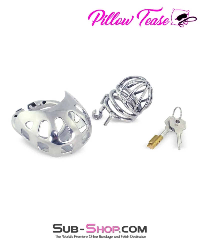 0995AR      Balls and All Full Coverage Locking Steel Chastity Device. 2 Cock Ring