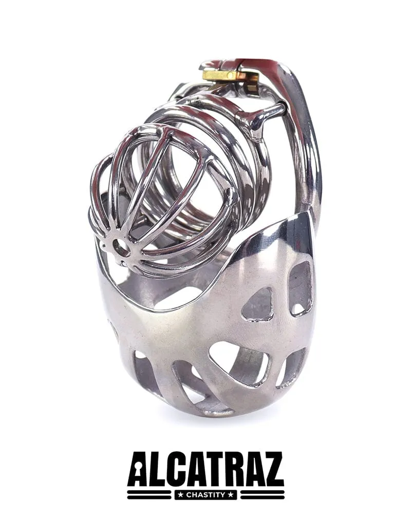 0995AR      Balls and All Full Coverage Locking Steel Chastity Device. 2 Cock Ring