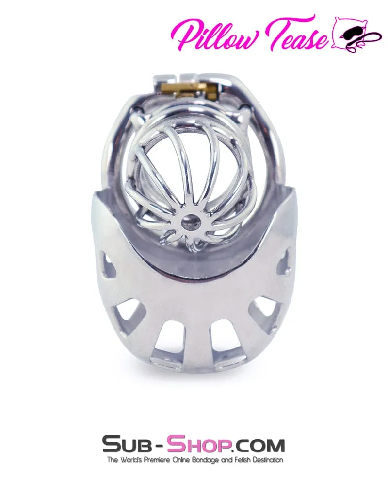 0995AR      Balls and All Full Coverage Locking Steel Chastity Device. 2 Cock Ring