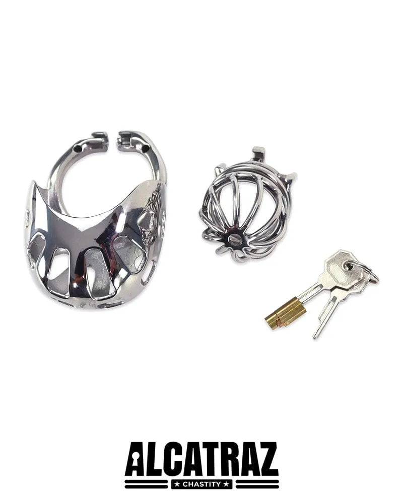 0995AR      Balls and All Full Coverage Locking Steel Chastity Device. 2 Cock Ring
