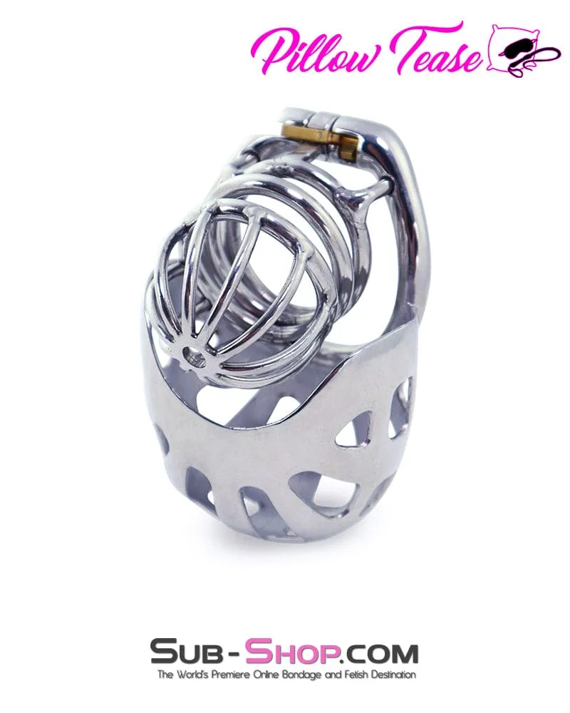 0995AR      Balls and All Full Coverage Locking Steel Chastity Device. 2 Cock Ring