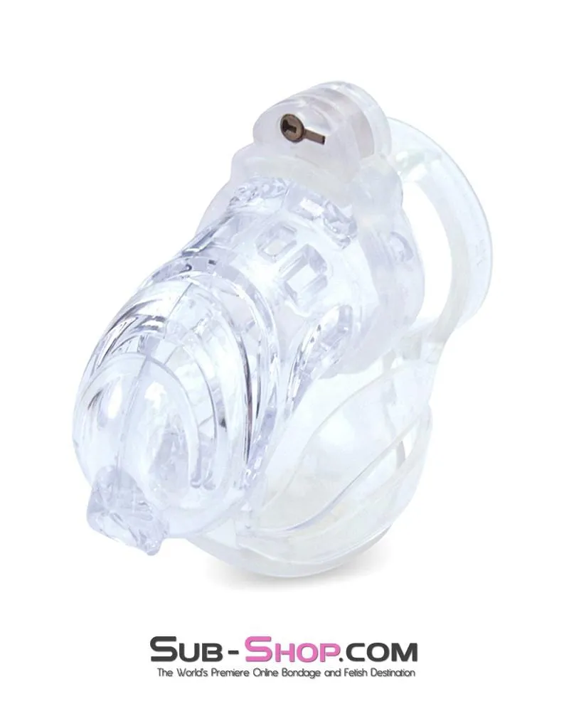 1414AR-SIS      Sissy Vortex Clear Full Cock and Ball Enclosure High Security Pin Tumbler Locking Cock Cage Chastity