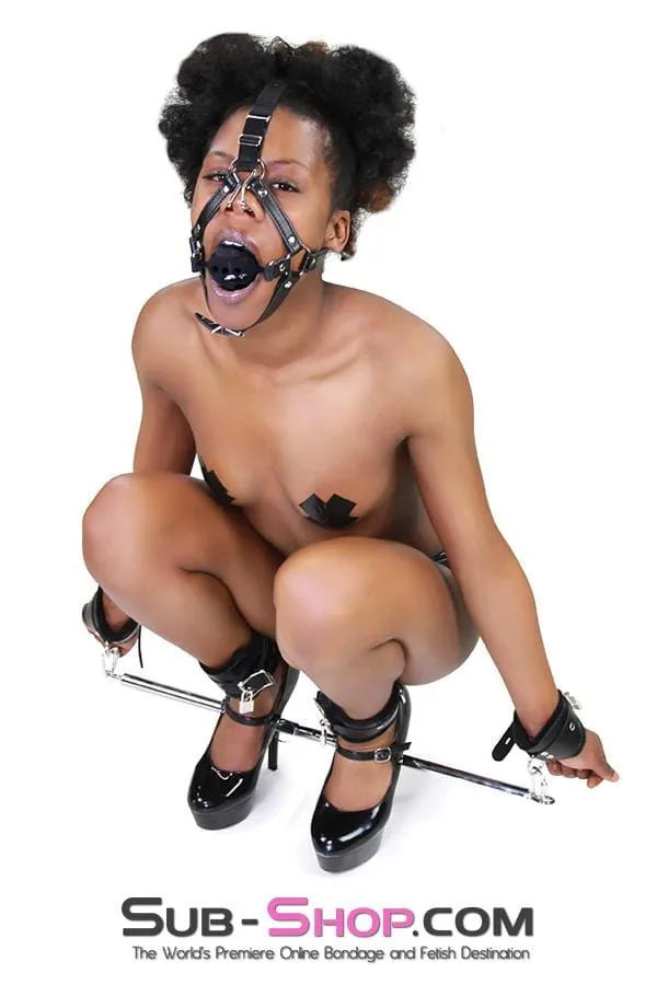 3812RS      2 Large Black Silicone Breather Ball Gag Trainer with Nose Hook