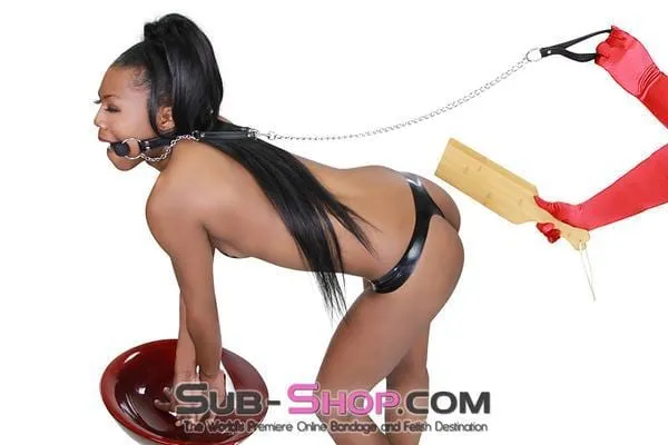 4716RS      Silicone Bit Gag with Leash Reins Set
