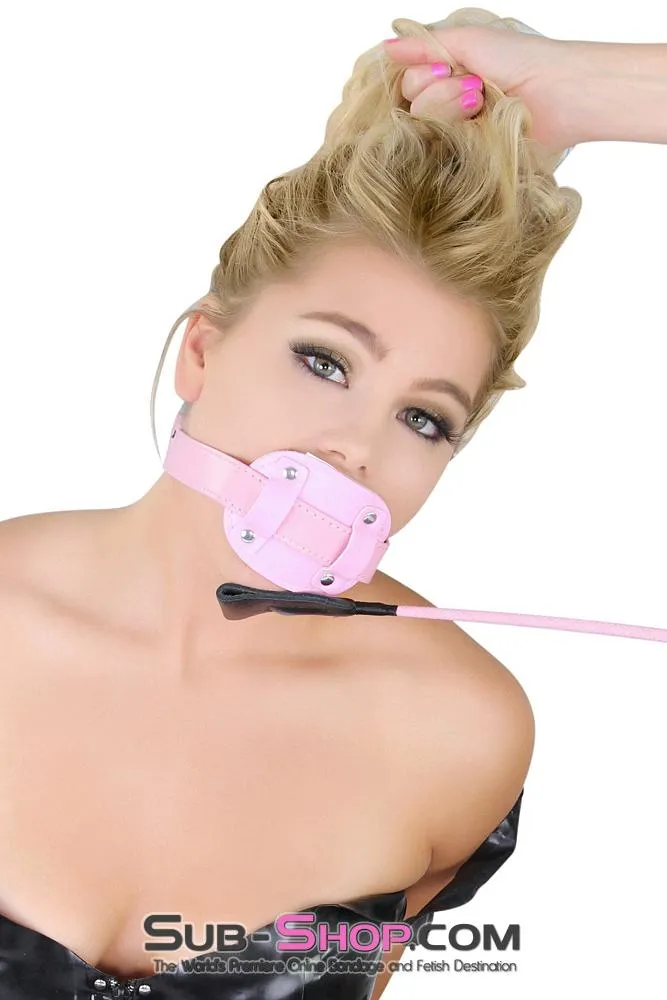 7046MQ      Locking Princess Pink Blowjob Trainer 2 Penis Gag - MEGA Deal