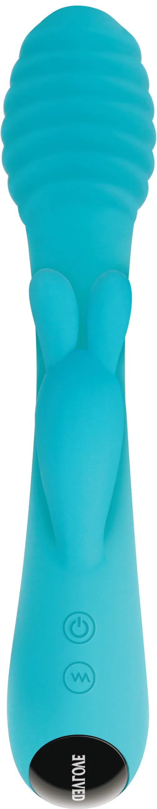 Aqua Bunny