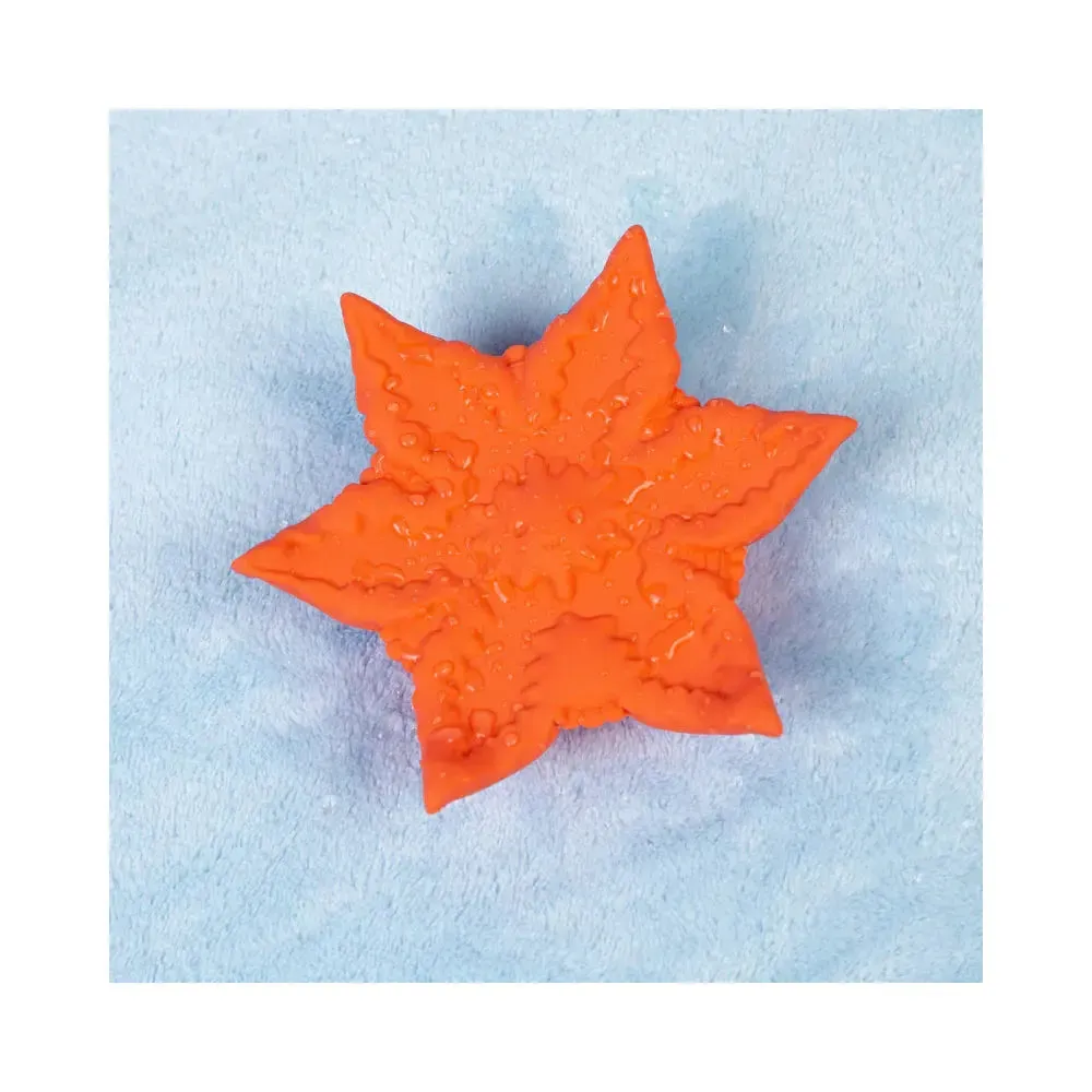 Cute Little Fuckers Starsi Coral Grinding Tribbing Sex Toy