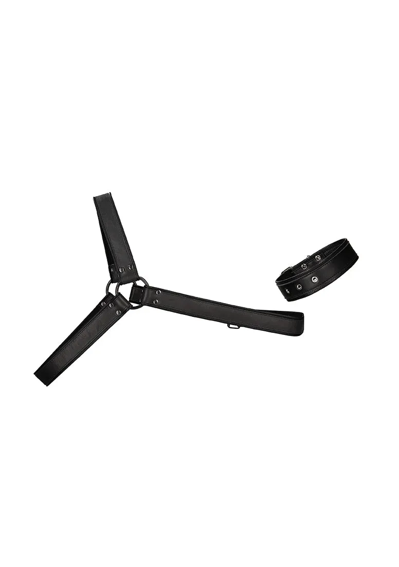 Gladiator Harness - One Size - Black