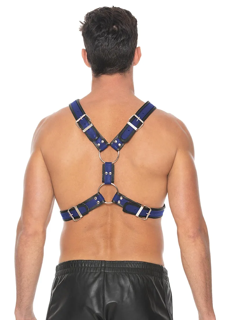 Scottish Harness - L/xl - Blue