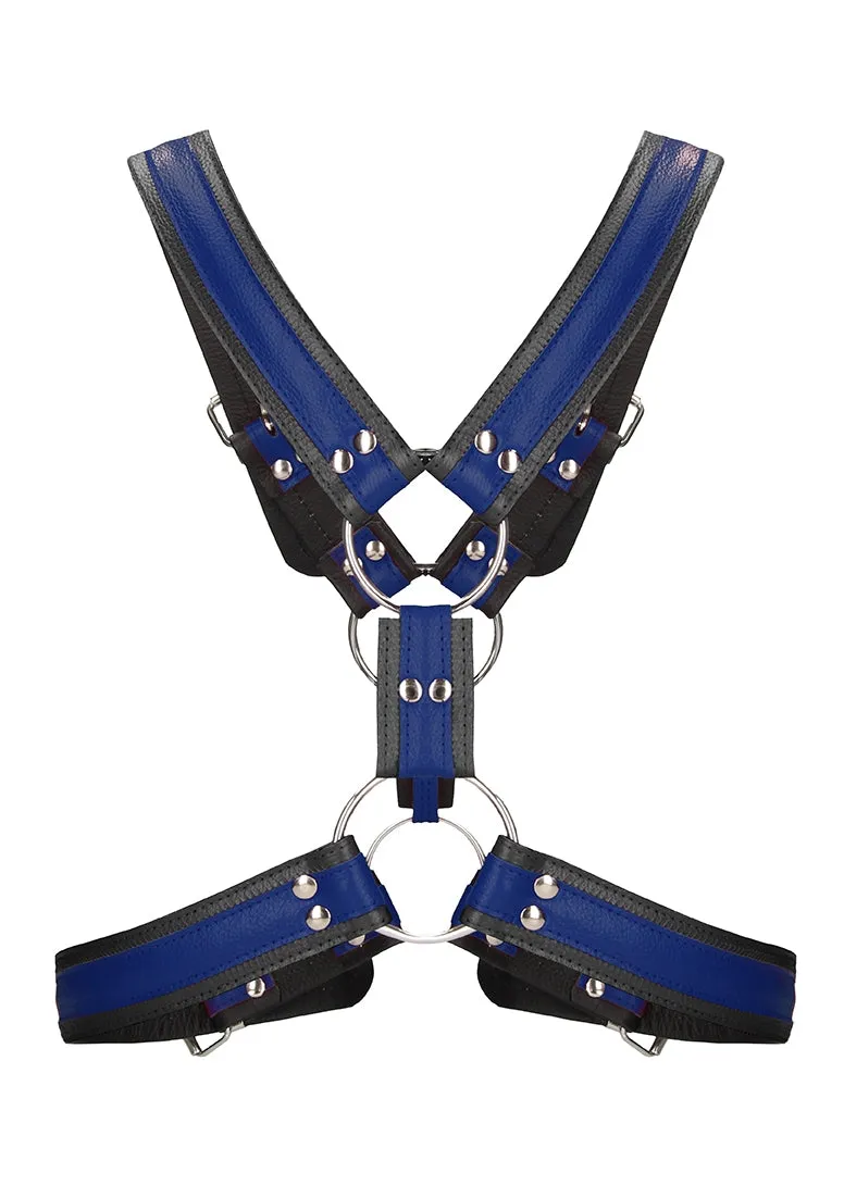 Scottish Harness - L/xl - Blue