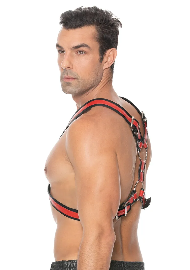 Scottish Harness - L/xl - Red