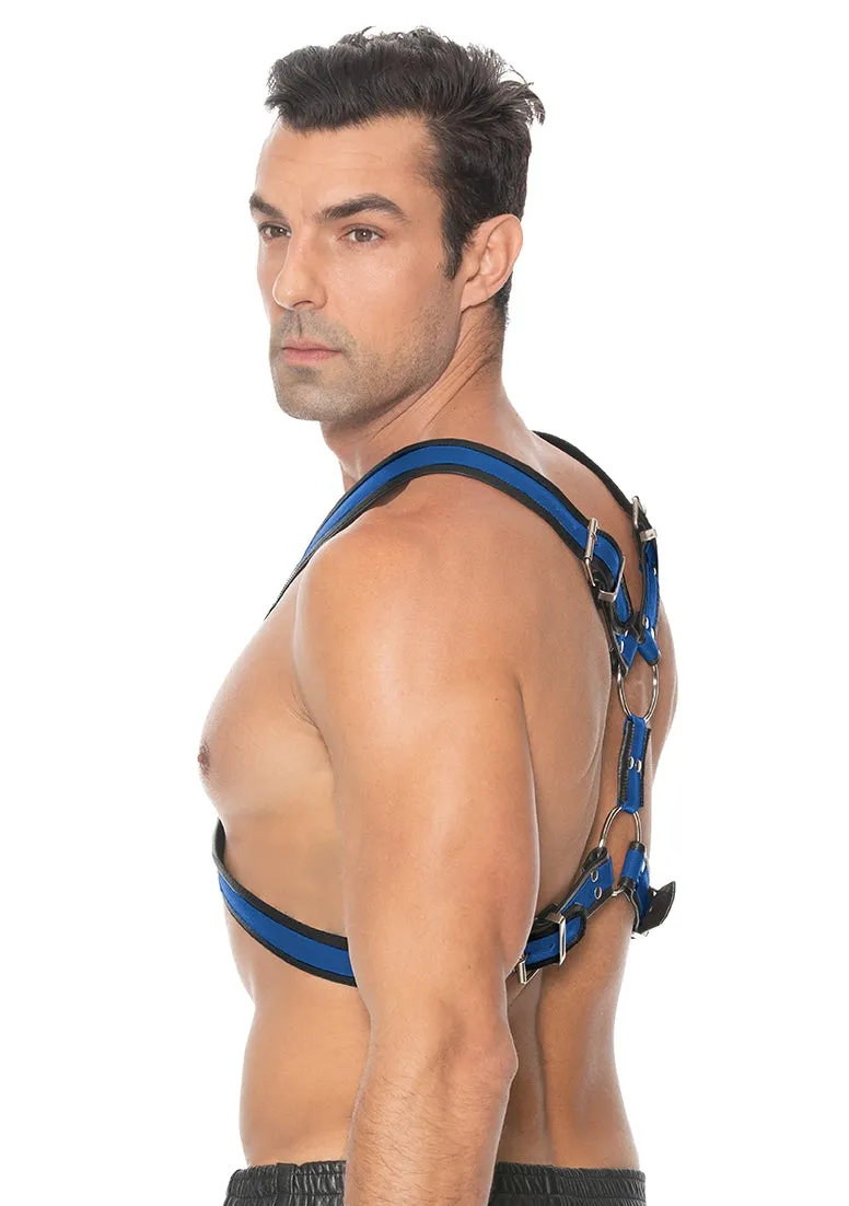 Scottish Harness - S/m - Blue