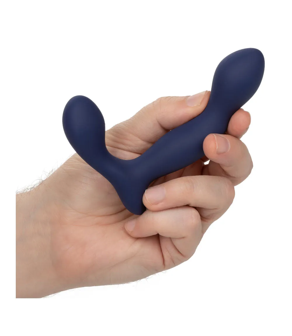 Viceroy Expert Prostate Massager